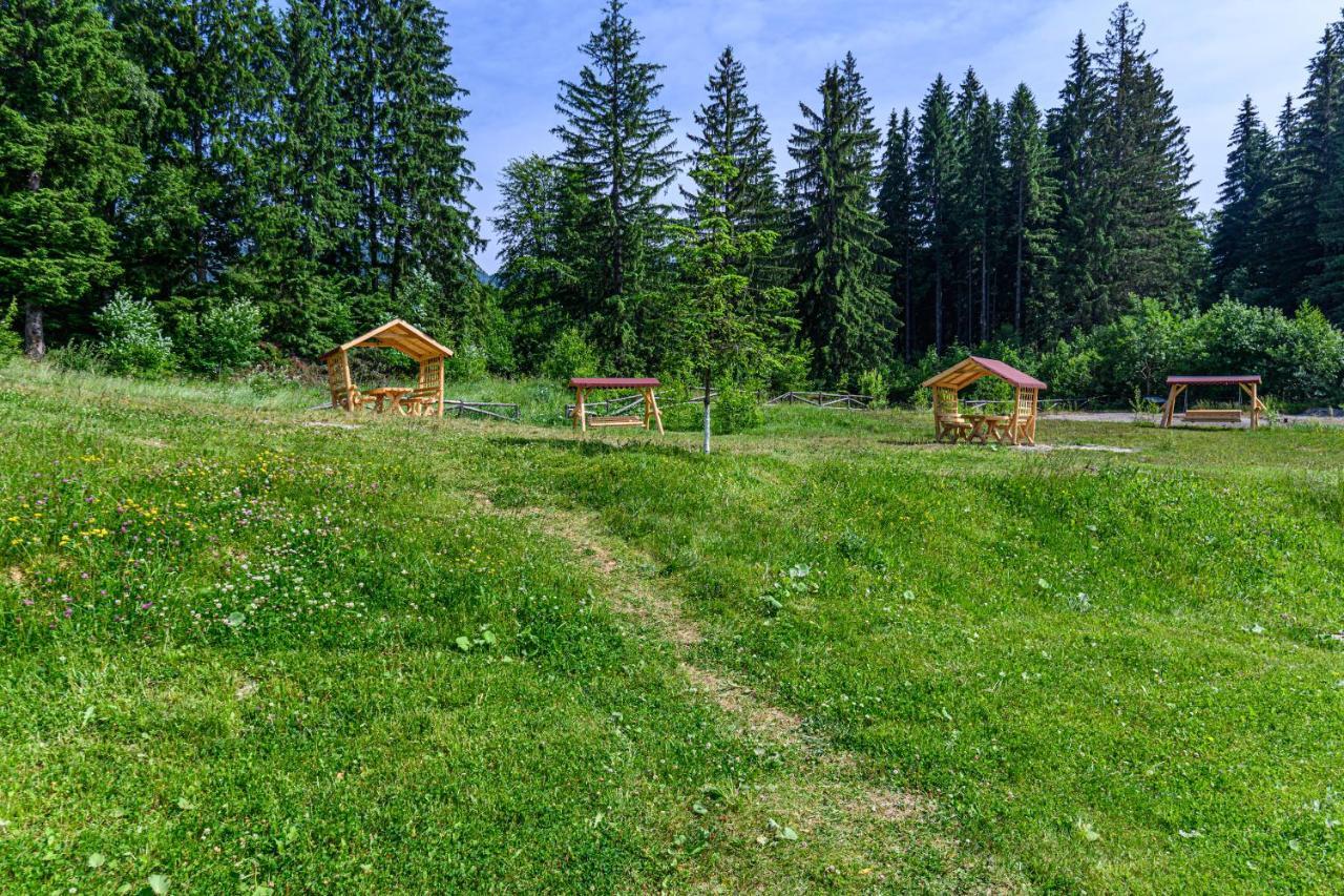 Pine Woods Studio D113 In Silver Mountain Poiana Brasov Exterior foto